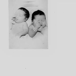 Meet your Posher, Robin